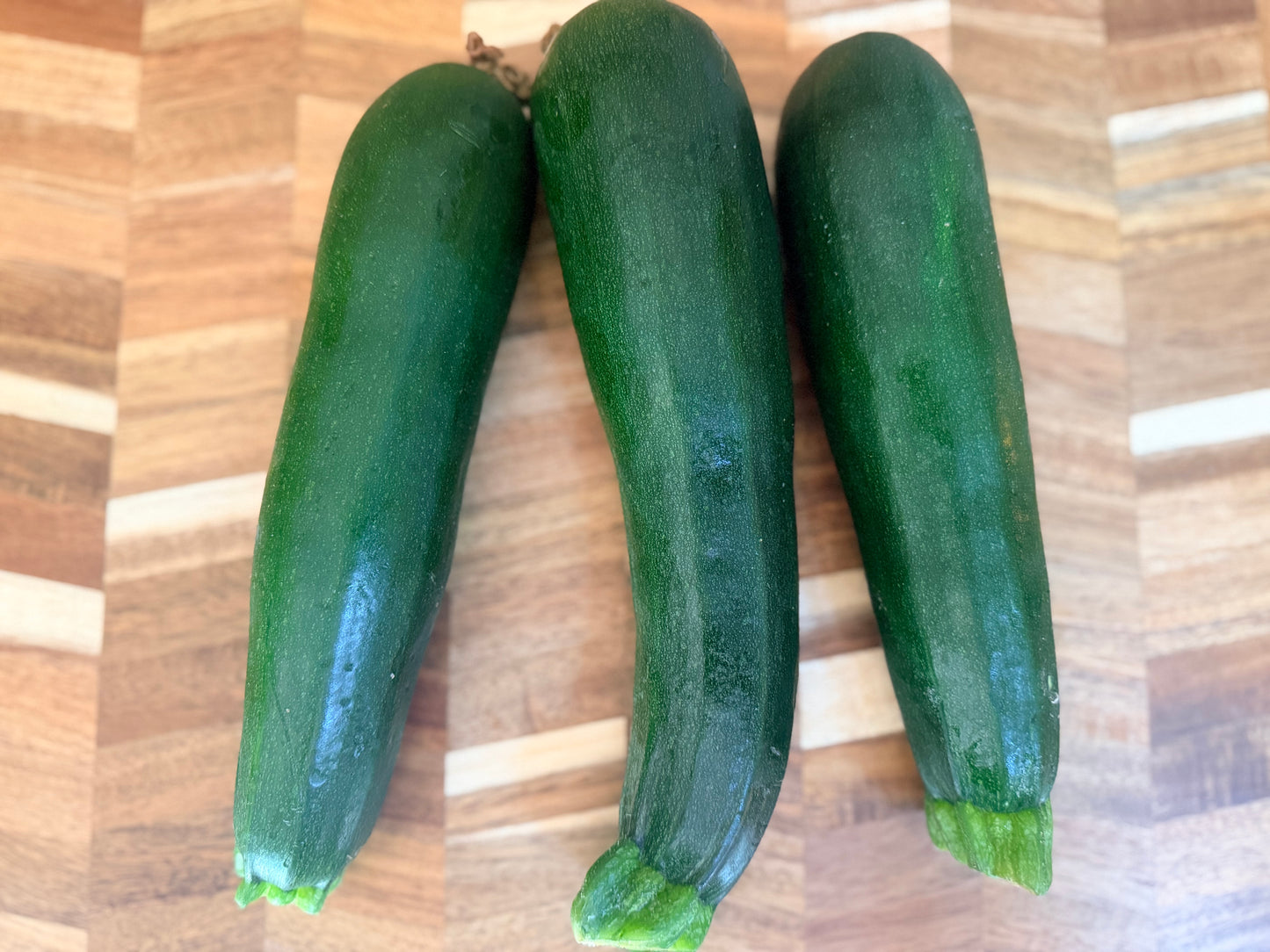 Green Zucchini Squash