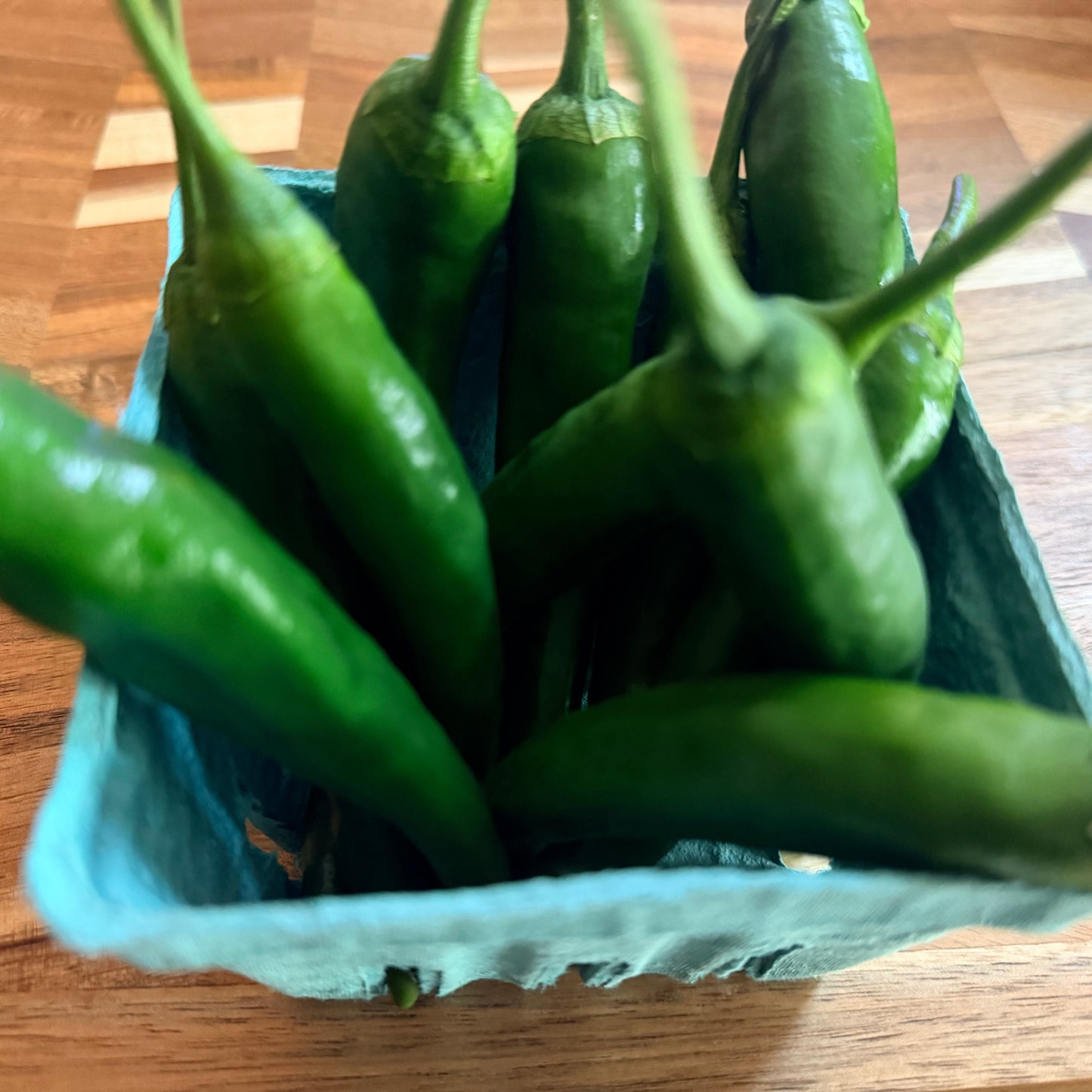 Green Chili Pepper