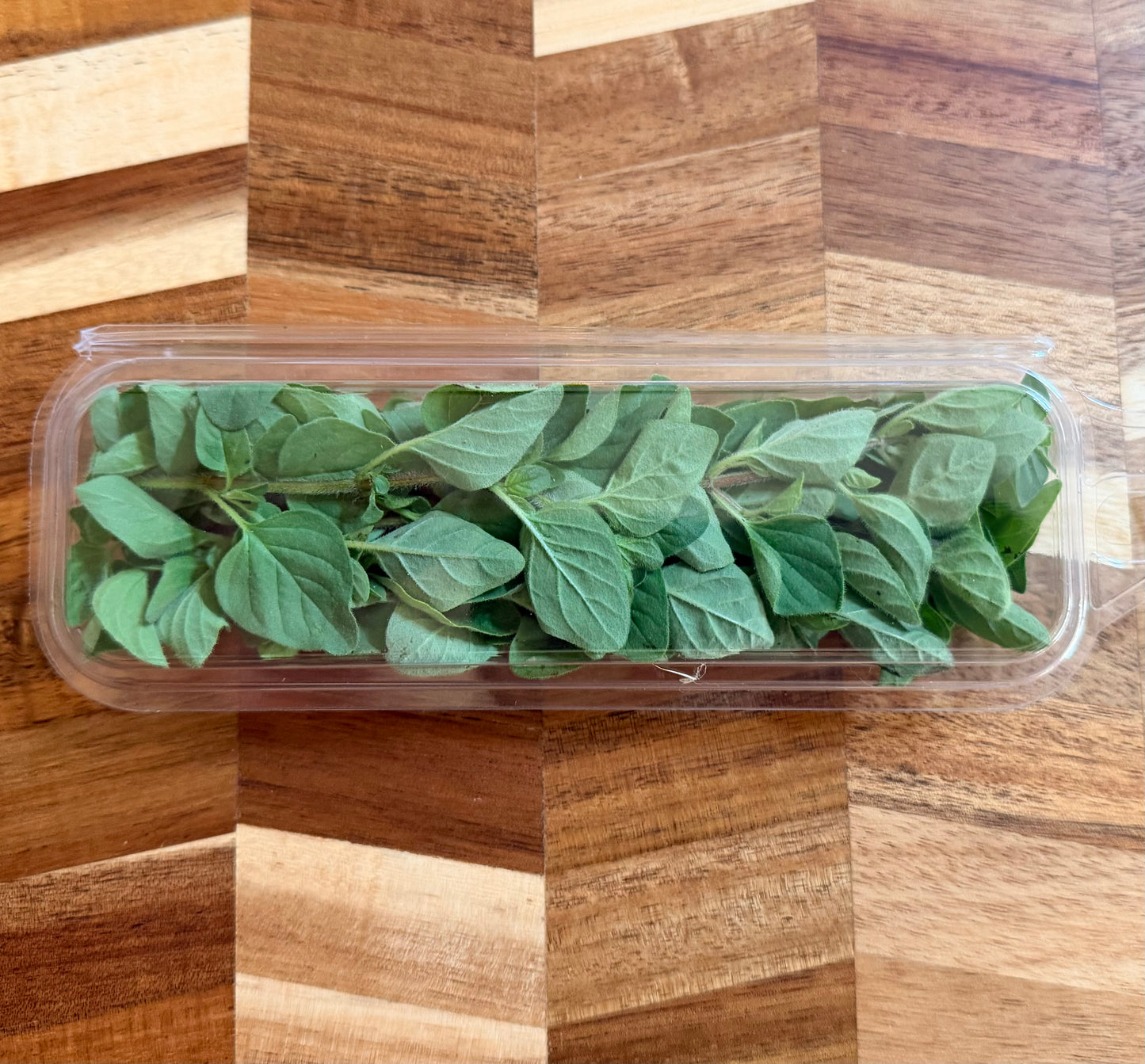 Oregano