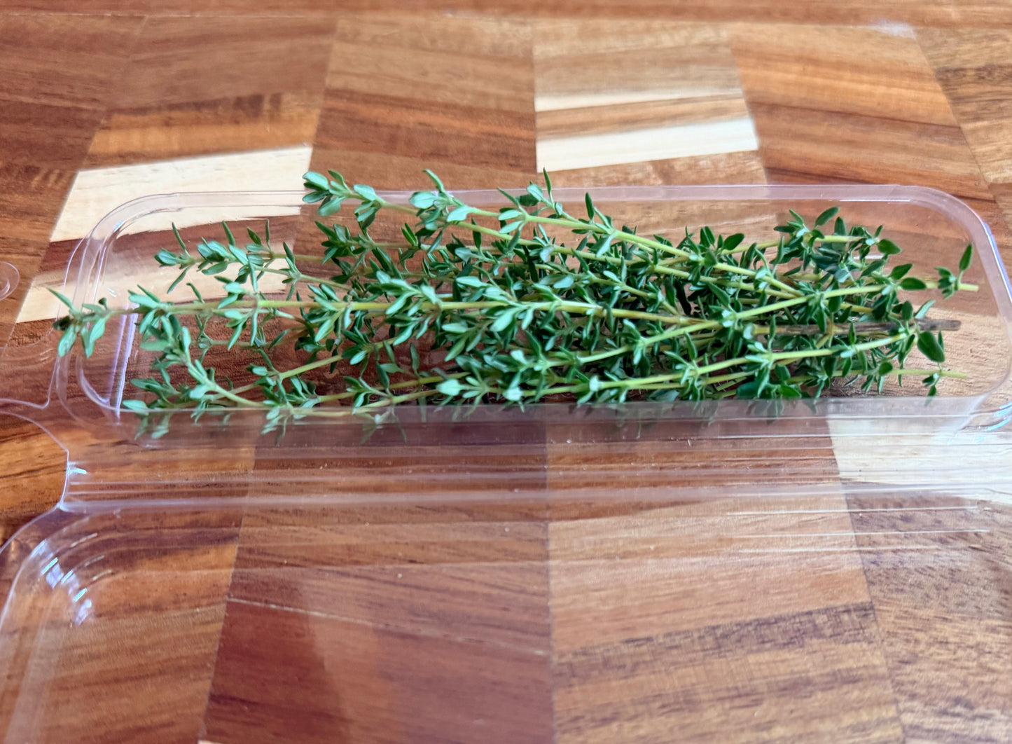 Summer Thyme