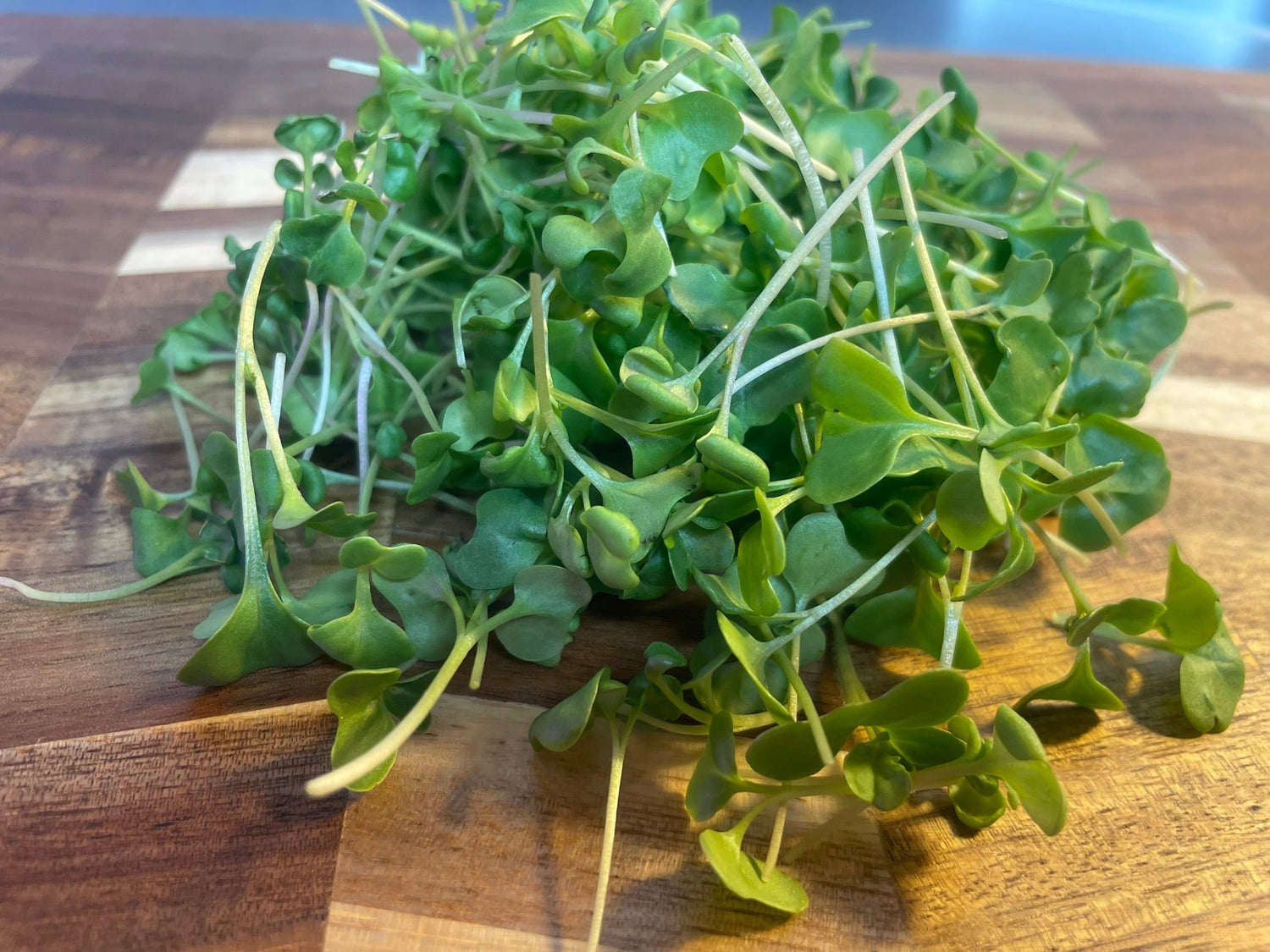 Microgreens