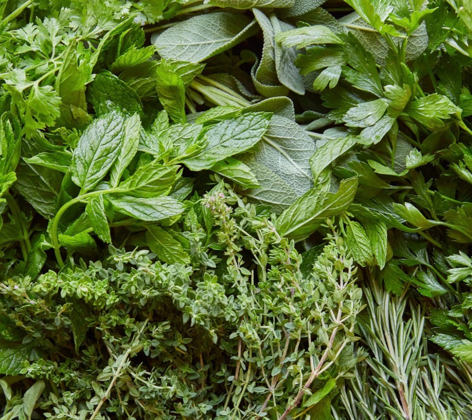 Herbs