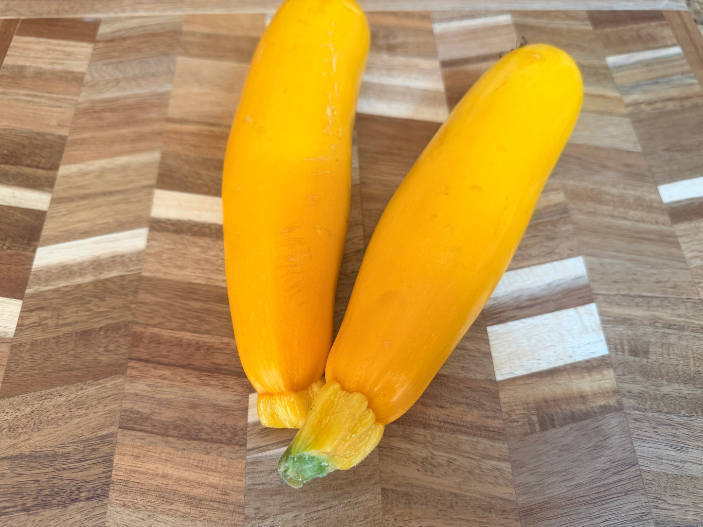 Yellow Zucchini Squash
