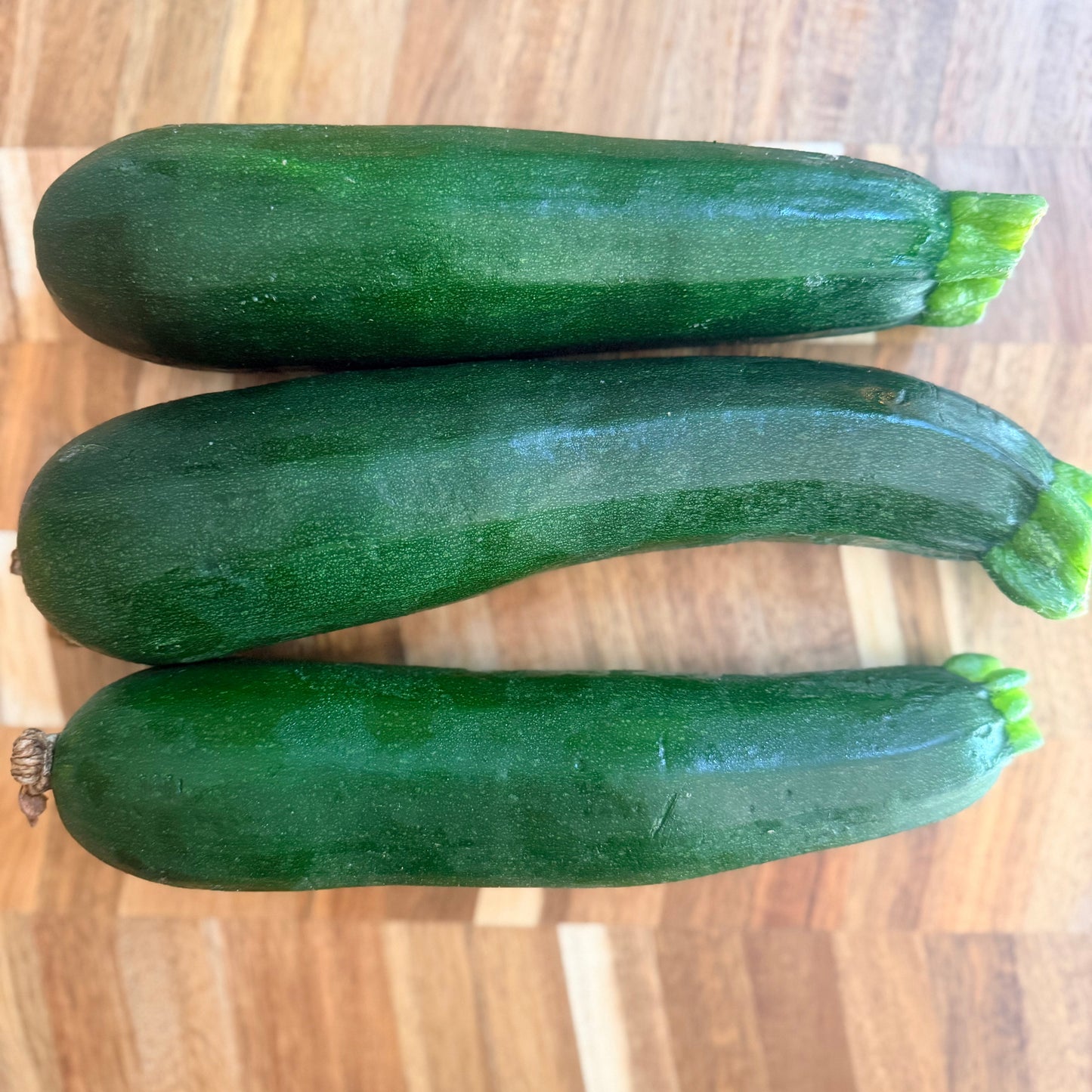 Green Zucchini Squash