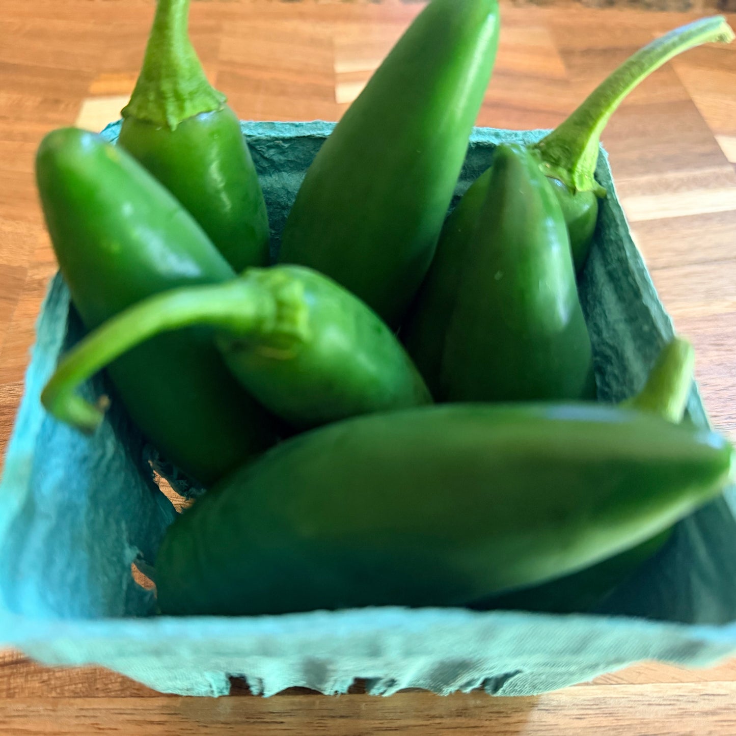 Jedi Jalapeño Pepper