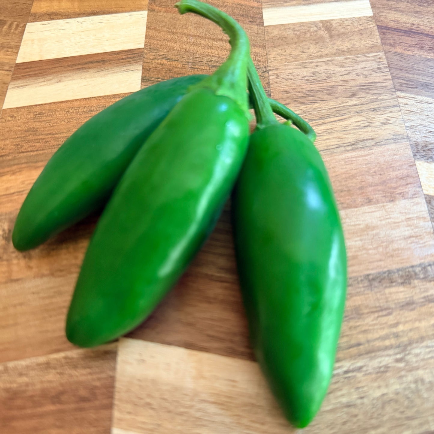 Jedi Jalapeño Pepper