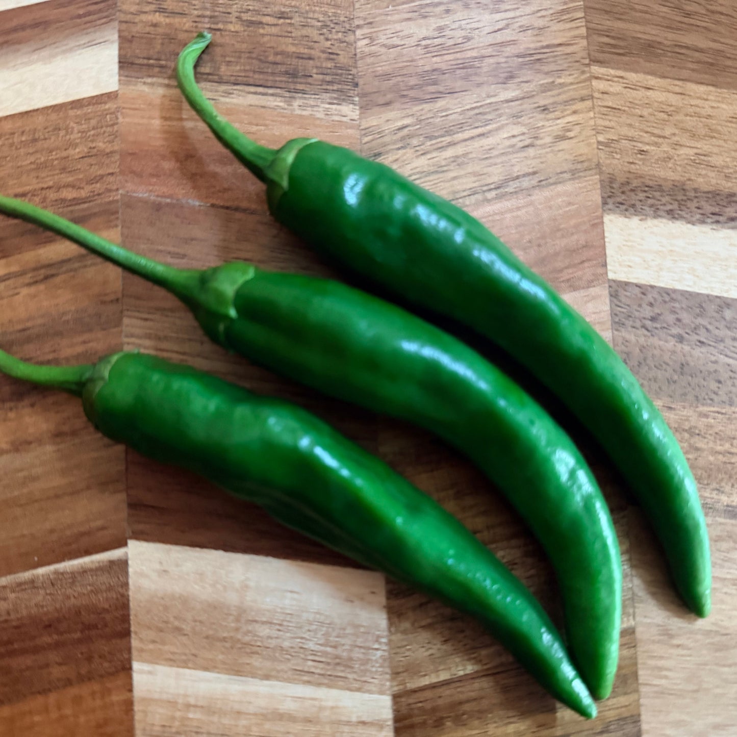 Green Chili Pepper