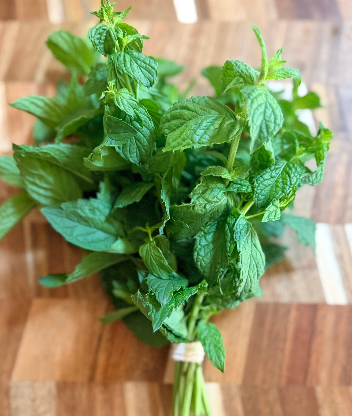 Mint