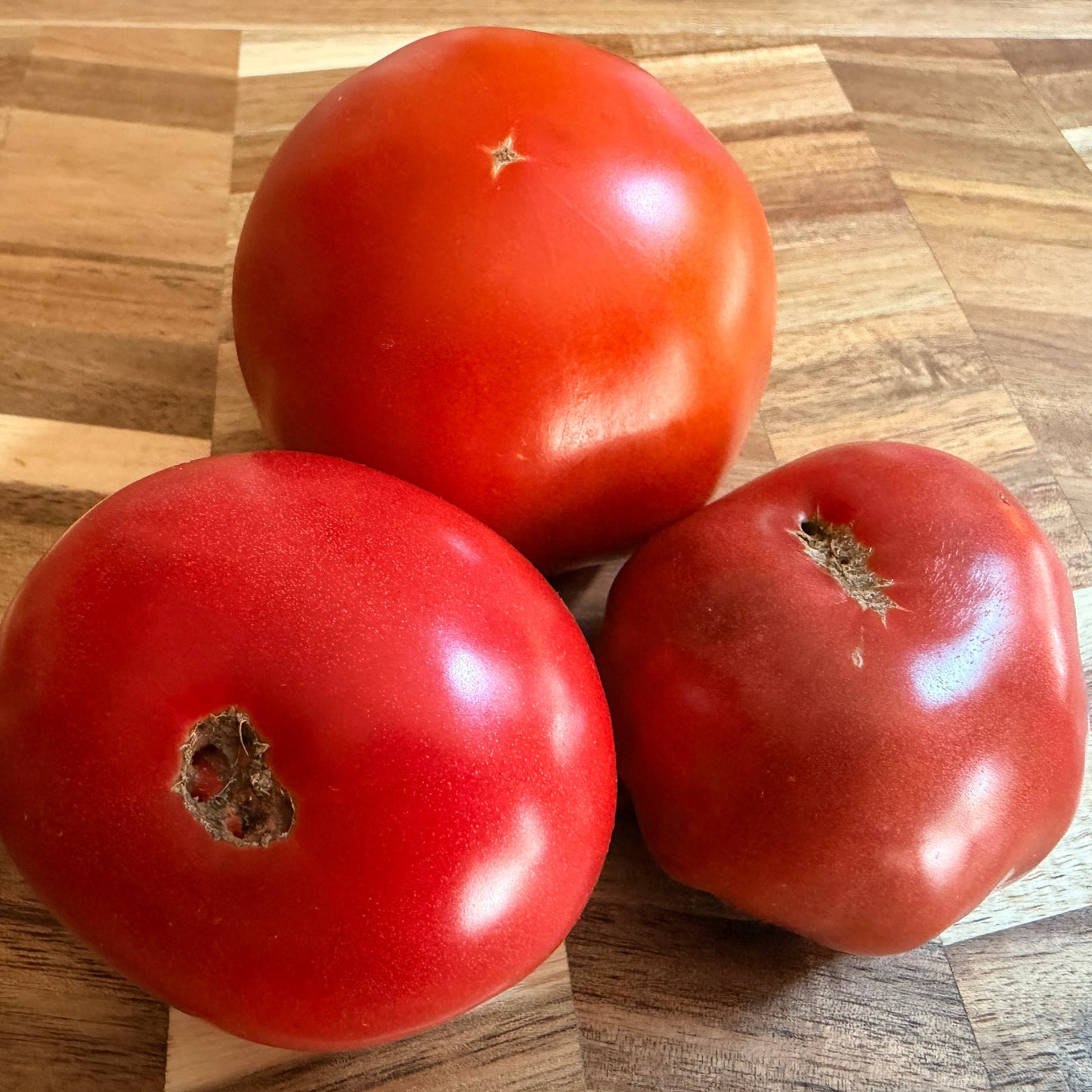 Mix Of Our Favorite Mid - Size Slider Tomatoes