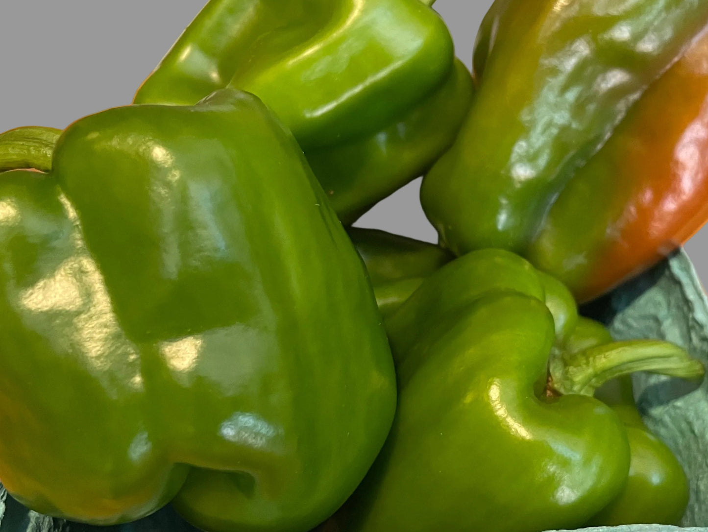 Bell Pepper - Green