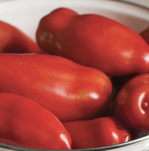 Tiren Sauce Tomatoes