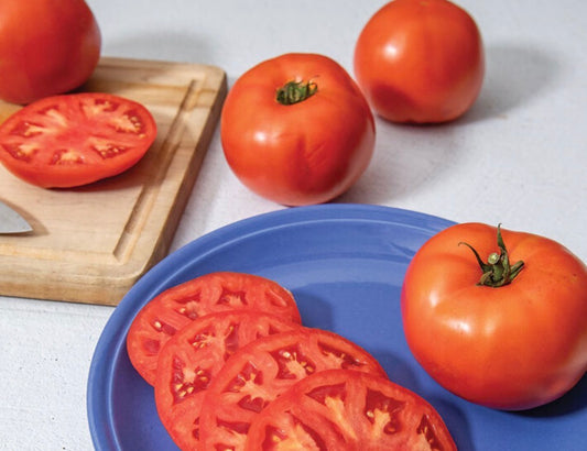 Jolene Beefsteak Tomatoes