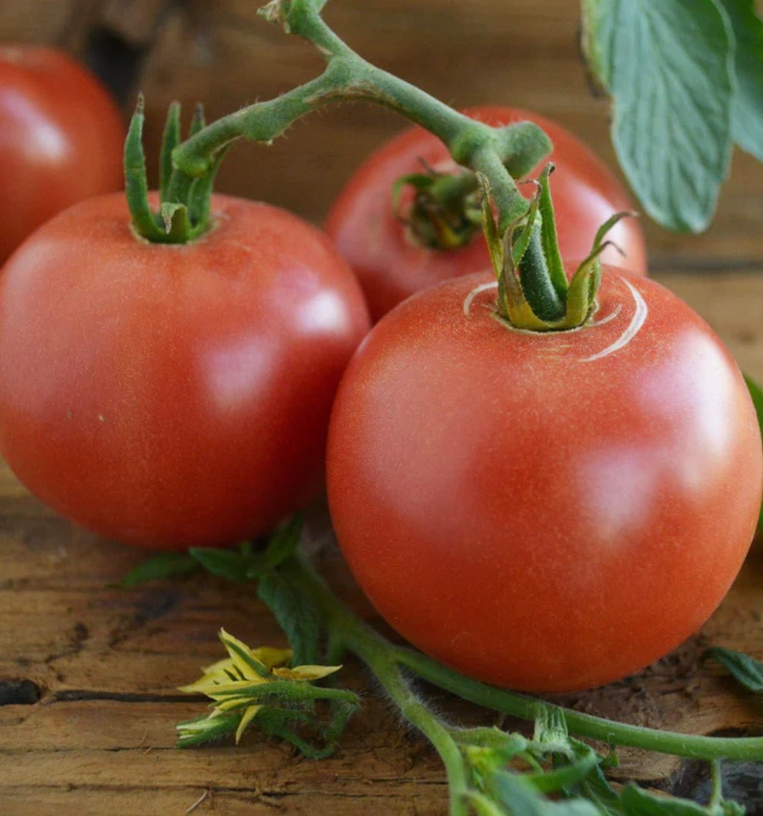 Mix Of Our Favorite Mid - Size Slider Tomatoes