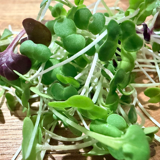 Super Food Mix